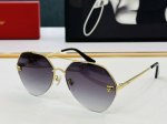 Cartier-卡家 Ct0355S Size：64口15-140 不挑脸型 简约大气 时尚休闲 C原版原色 太阳镜