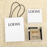 204164 我们出品 Zp4030，量大咨询客服 Loewe菱形耳钉 第一眼看到立马就喜欢上了L0Ewe 罗意威 Anagram缠丝立体吊耳钉。以及一个带有L