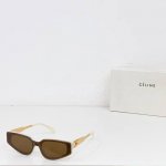 Celine mod Cl42098U size 51口21 145 1302150
