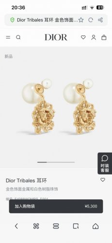 迪奥 新款一线大牌都爱的Dior 迪奥 新品耳环 金属质感逆袭版字母潮范儿抢风头 完全胜任现代年轻人街拍 度假时尚搭成为夏日最炙手的时髦单品...