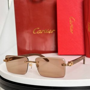 Cartie* Model：Ct0619S Size: 55口19-143
