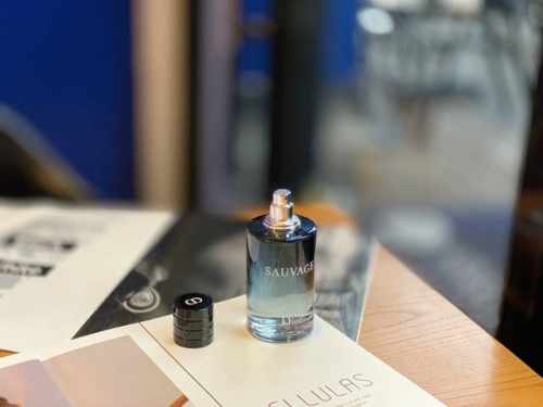 专柜品质 dior 迪奥旷野男士淡香水清新之水持久100Ml. 木香调 适合品味超然的都会男性 白领阶级和想成为时尚型男的男士们 特殊渠道货 海关仓流出 支持代