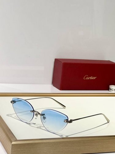 P180变色165 Cartier Mod：Ct0567S Size：59口17 140