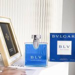 高品质/110 宝格丽蓝茶男士淡香水100Ml （宝蓝）是有着殊荣的男香，在第13届香水奥斯卡Accademia Del Profumo Awards 中，宝格