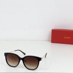gucc* Model：Gg1883Sk Size：53口18-145