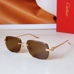 Cartier mod Ct0681S size 58口18 137