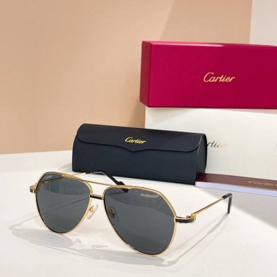 Cartie*Model：Ct0334S Size: 48口21-145～
