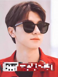 Gentle Moster Gm 新款大圆框 新品高端品质墨镜偏光太阳眼镜男女士同款开车驾驶防紫外线 型号：Solo