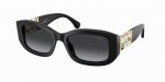 chanelmodel：Ch5542 Size：53口20-140