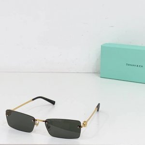 Tiffany&Co.Model：Tf3108B Size：60口17-140 1302150