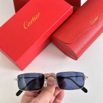 Cartie*Model：Ct0574Size: 55口19-143