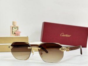 P180 Cartier Mod：Ct0614S Size：58口17 143 0310140