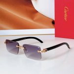 Cartie* Model：Ct0619S Size: 55口19-130