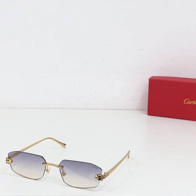 变色 不变色135 Cartie* model Ct0474S size:58口18-140