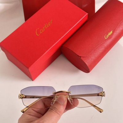 变色片 Cartie*Model：Ct0476S Size: 60口18-140