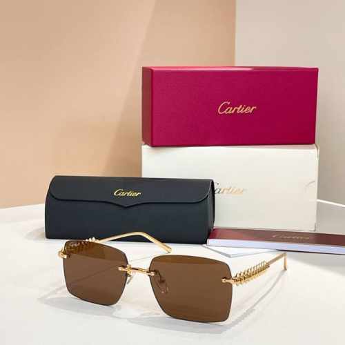 Cartie*Model：Ct0545S Size: 58口17-140