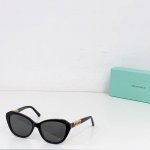 Tiffany & Co model:Tf2241B size:56口16-143