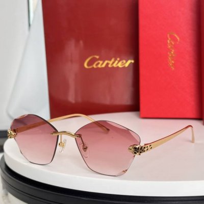 变色片 Cartie*Model：Ct0476S Size: 60口18-145
