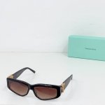 Tiffany&Co. Model：Tf4234U Size：53口18-140