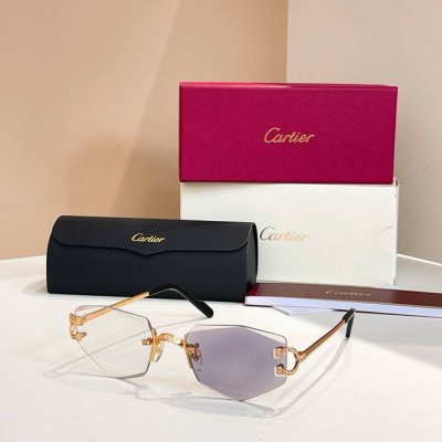太阳镜 变色片 Cartie*Model：Ct0582S Size: 48口21-145～