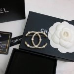 chanel 专柜同步上市这款超漂亮的，全部用进口施华洛钻 今年最新款任意搭配都好看又是一款必火的经典款代工品质 做工精细胸针，是最懂女人的饰物。那些倾注了全部
