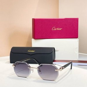 cartie*Model：Ct0538Ssize: 59口15-140