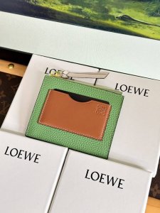 120 绿色6色现货 Loewe罗意威斜挎零钱包卡包 超级方便的一款小号零钱包卡包 一个拉链格 放卡片 零钱等～小巧便携，外观好看 尺寸 12×10Cm