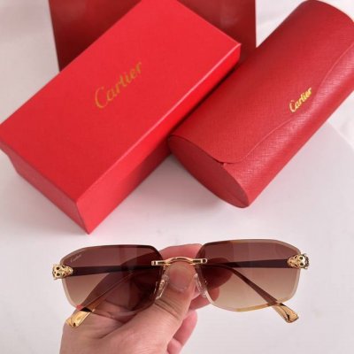 变色片165Cartier Mod:Ct0583S Size:56口-18-143