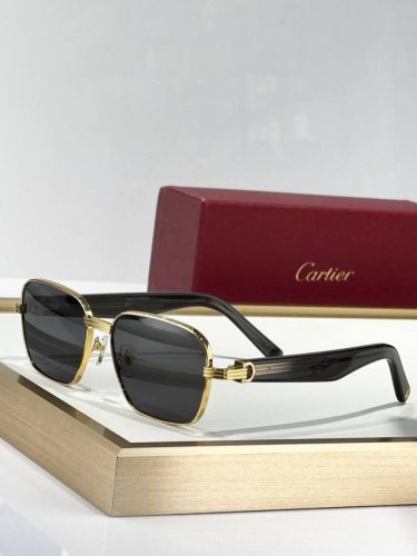 cartier Mod：Ct0538S Size：55口17 145