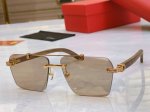 p180，【Cartie*】卡地*亚新款太阳镜，Ct0622S，Size: 58口17-143