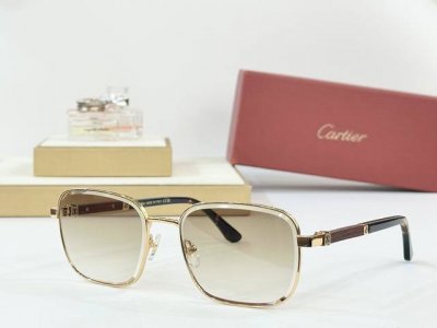 Cartier Mod：Ct0491S Size：59口19 145