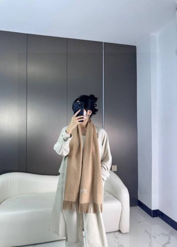 怒赞自留 难得的高端女款家属福利Lv非常正的男女围巾~面料大爱 非常柔软细腻舒服 大气简约 超级好看的男女神配色 任何人都会喜欢的款吧 小小Logo非常精致的点