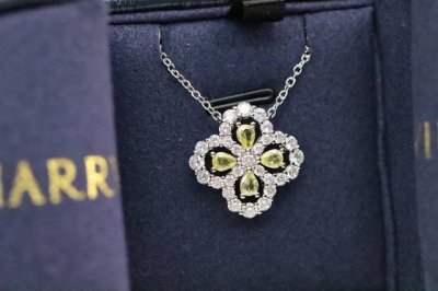 新品推荐 Hw海瑞温斯顿高级珠宝 黄钻四叶草项链 这款满钻的项链，是各大明星同款，不仅栩栩如生，精工的切割！高端定制，镶嵌Bling Bling 雍容的设计，奢