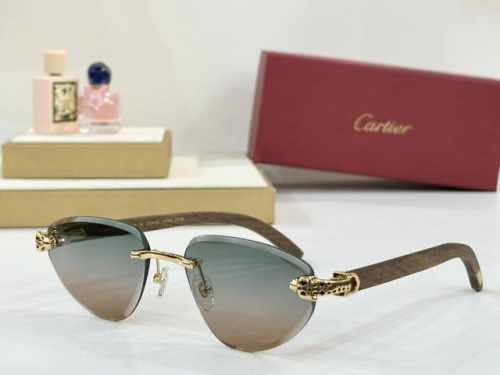 p180 Cartier mod:Ct0616S size：58口17 140