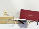 P180 变色 P210 Cartier Model：Ct0595S