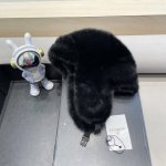 Moncler冬天加绒雷锋帽加厚女童女孩骑行挡风包头围巾一体护耳帽