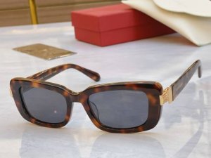 Salvatore Ferragam* 菲拉*格慕 新款眼镜架，Model：Sf1105S，Size：52口19-145