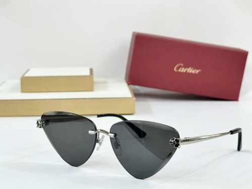 Cartier Ct0399S Size：62口15-145