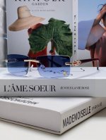 Cartier卡地亚 2025新款无框男女士时尚防蓝光高清超轻时尚年轻款化便携式眼镜