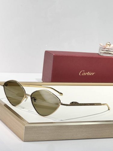 cartier Mod：Ct0489S Size：60口15 140