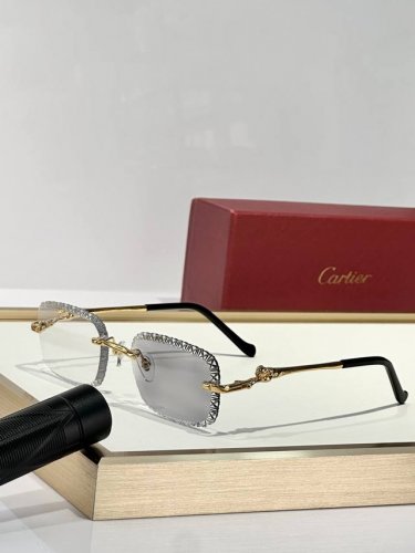 Cartier mod Ct0695S size 56口17 143