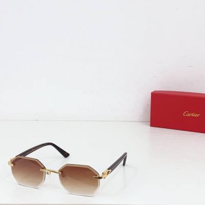 Ss25 top Quality signature C De Cartie~ ct0439S 3.0加厚镜片 镜片上蚀刻徽标 可调节橡胶鼻托 铰链上饰有徽标五