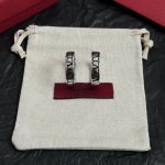 Valentino 华伦天奴 耳环重磅新品火爆网络来了 简约大方 时尚百搭