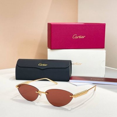 Cartie*Model：Ct0544S Size: 58口16-140