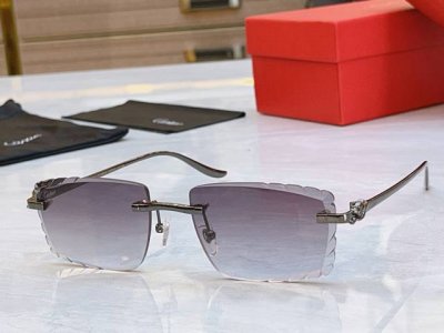 Cartie* 卡地*亚新款太阳镜，Ct0682S，Size: 56口18-137