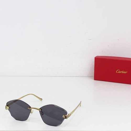 变色 不变色 Cartie* model Ct0476S size:54口18-140