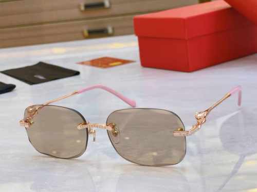 Cartie* 卡地*亚新款太阳镜，Ct0687S，Size: 55口19-145
