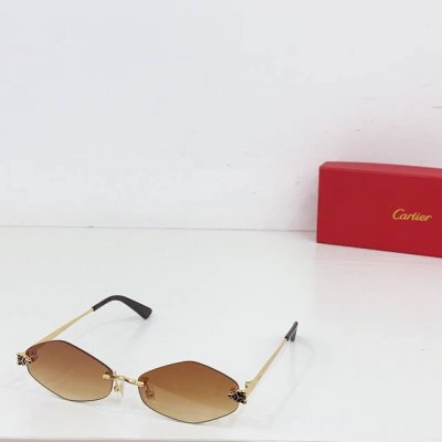 Cartie*Model：Ct0433S Size: 48口21-145～