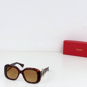 Cartie* 卡地*亚新款太阳镜 Ct0471S Size: 60口18-145 1402160