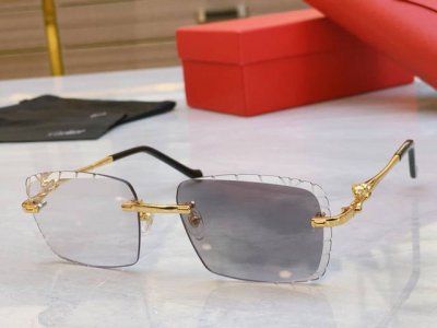 变色镜片 太阳镜 ， Cartie* 卡地*亚新款太阳镜，Ct0093O，Size: 59口17-142